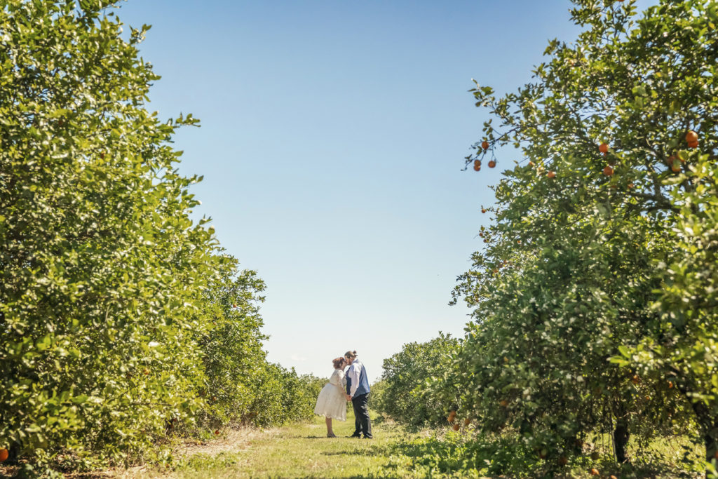 Orange Grove - Citrus Orchard Engagement Wedding Portrait Session