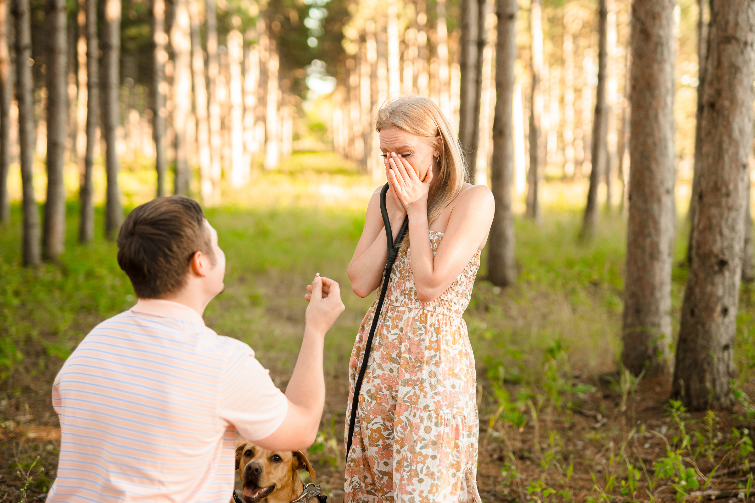 Minnesota Proposal / Engagement Photographer - Studio Twelve:52 - She said yes! - Pup photo/photography session turned surprise wedding proposal.